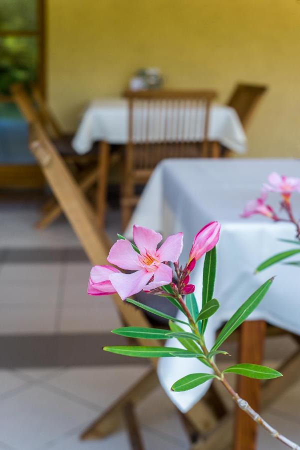 Bed and Breakfast Regia Panzio Halaszi Экстерьер фото