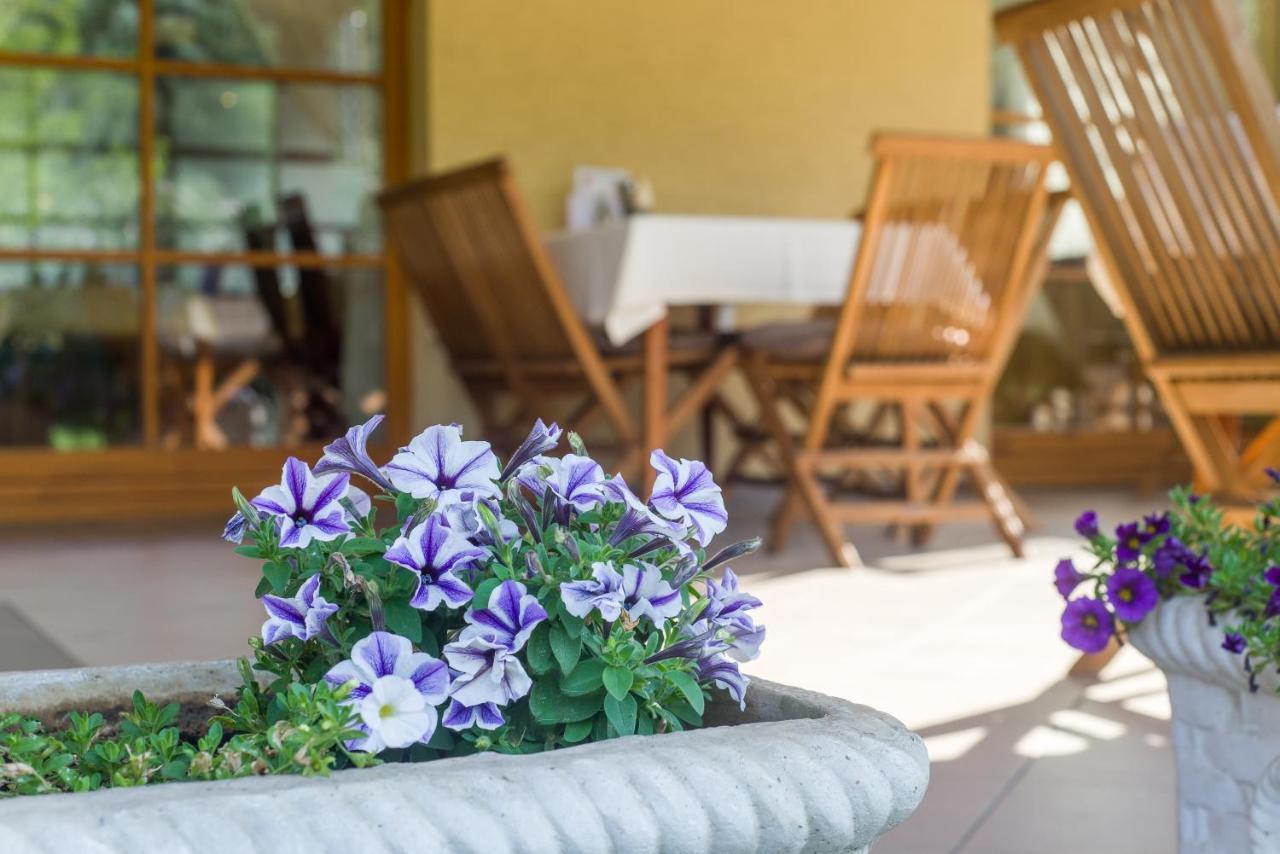 Bed and Breakfast Regia Panzio Halaszi Экстерьер фото